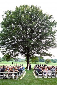 Paired Images - The Oak Tree