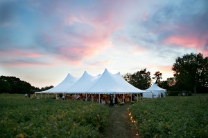 Paired Images - Reception Tent