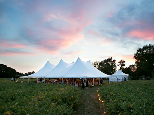 Paired Images - Reception Tent