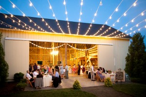 Paired Images - Reception Lighting
